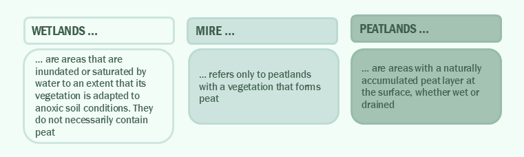 Figure 2. Addressing some of the distinctions between wetland, mire and peatland.