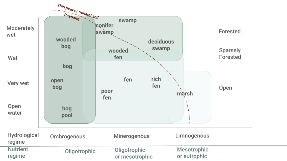 Figure 3. A general scheme to define the position of broad terrestrial wetland types in an ordination based on the two most important environmental gradients. Wetness, or distance between vegetation surface and water table, varies along the vertical axis, and the complex gradient with variation in pH, base saturation, and nutrient status is depicted along the horizontal axis. Image adapted from Rydin & Jeglum (2013).