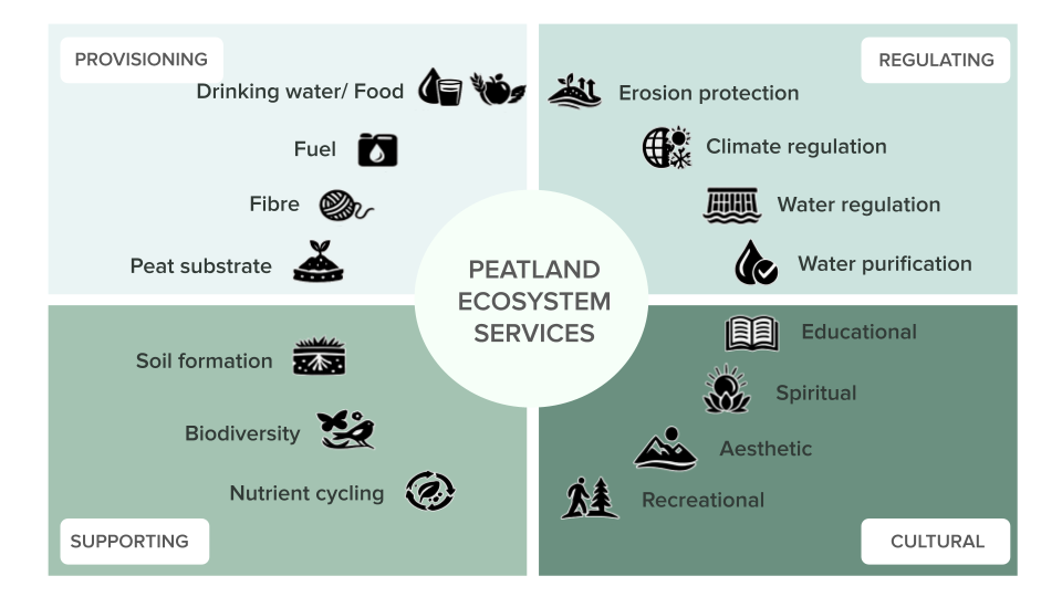 Figure 5. Peatland ecosystem services adapted from NATURACOMMUNITIES.